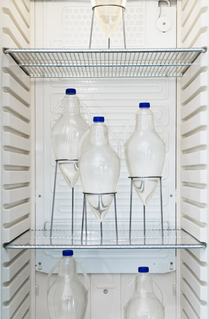 Vessel to-go, Installation view, Constantly Sipping from the Wishing Well