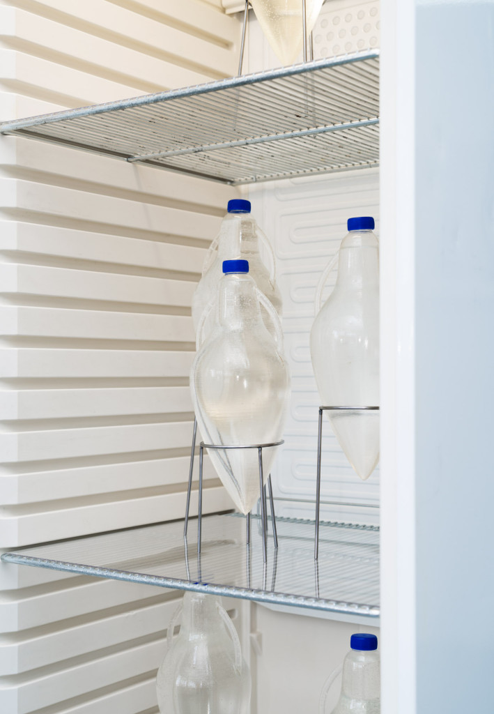 Vessel to-go, Installation view, Constantly Sipping from the Wishing Well
