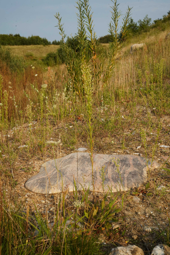 granit, stone, sten, gravel pit, grusgrav, sculpture